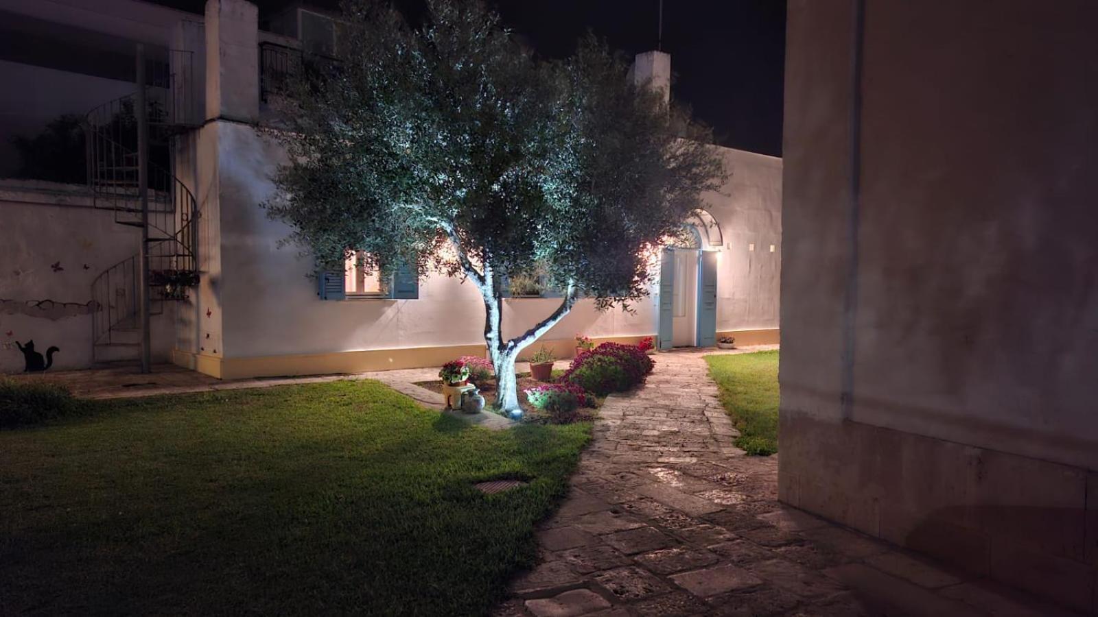 Villino Tronchetto Bianco Panzió Mola di Bari Kültér fotó